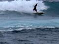 Steve_ a professional surf instructor from Hawaii catches.jpg